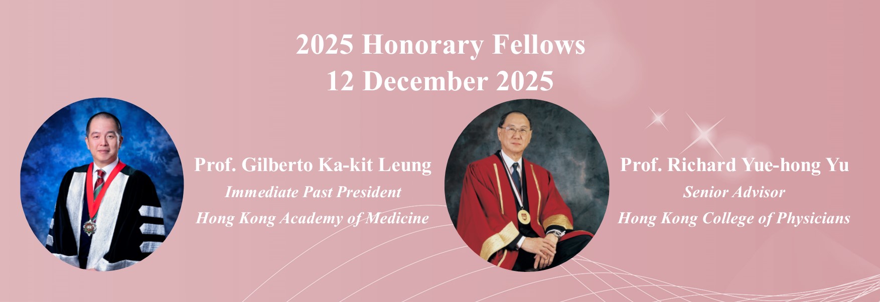 Form banner_2025 Hon Fellow v.3